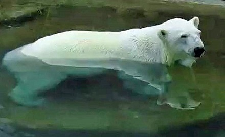 a0151913_1053838.jpg