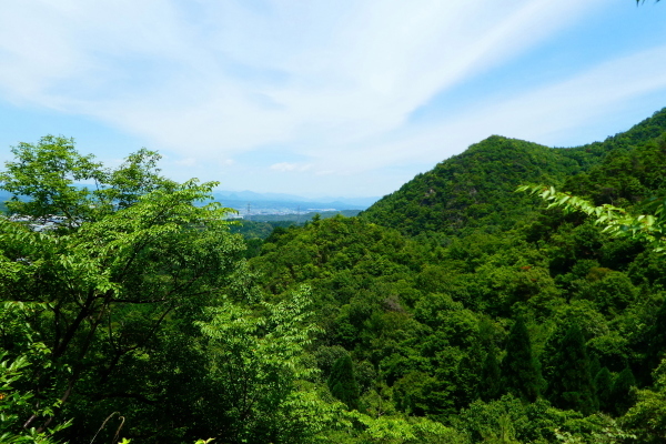 d0170615_09474319.jpg