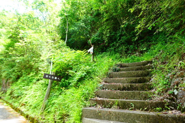 d0170615_09475137.jpg