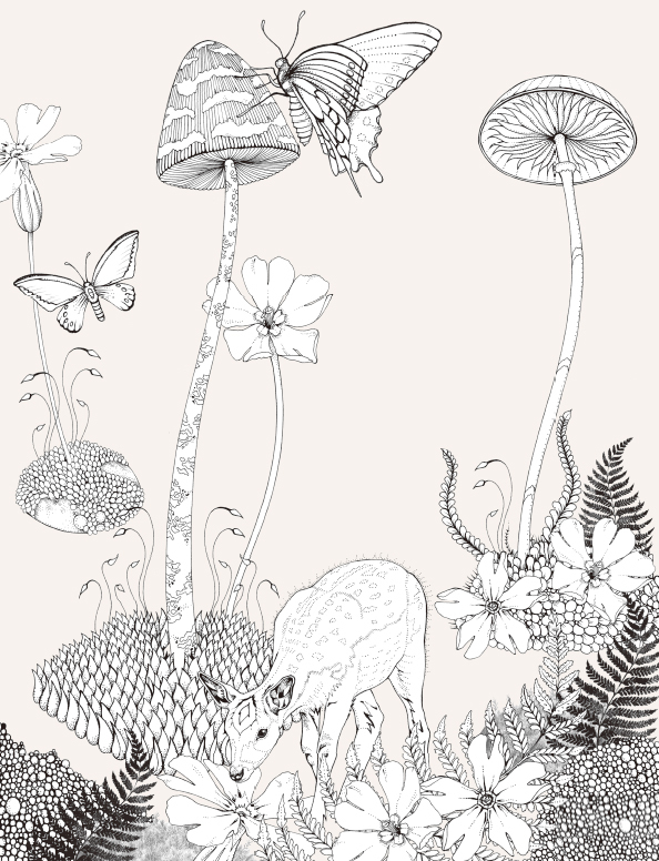 大人の塗り絵新作発売 花と動物を彩るコラージュぬりえ 森のなかへ オトナのぬりえ ひみつの花園 オフィシャル ブログ