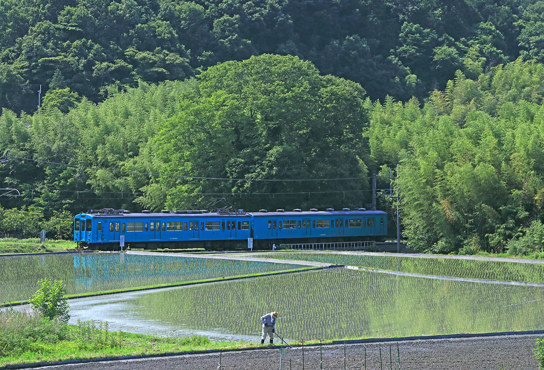 ＜和歌山線＞　様子が変わる_b0185825_15301779.jpg