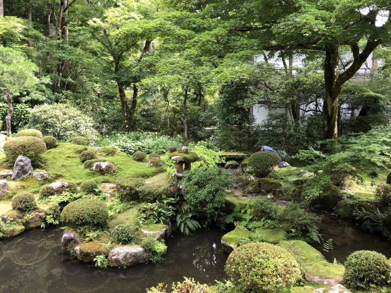 京都大原三千院_d0282139_09391419.jpeg