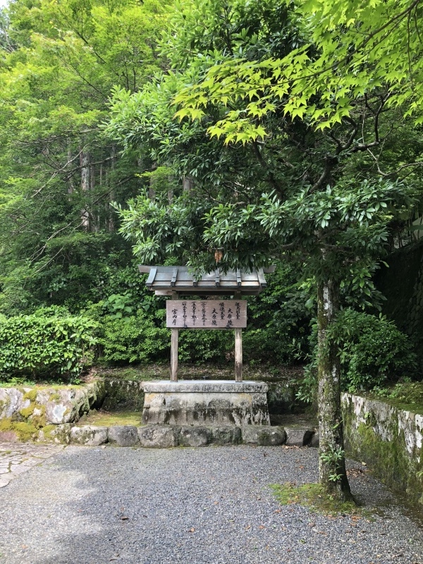d0282139_10054226.jpeg