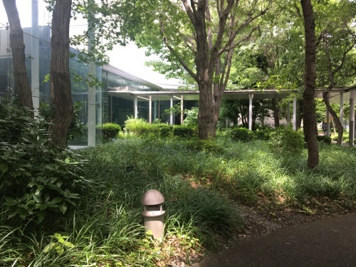 b0330040_23131047.jpeg
