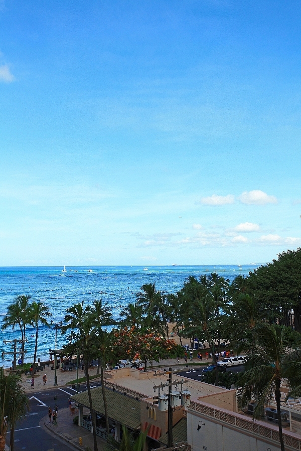 f0254247_13183743.jpg
