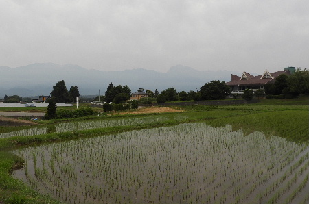 また雨で、八ヶ岳_e0172950_20544463.jpg