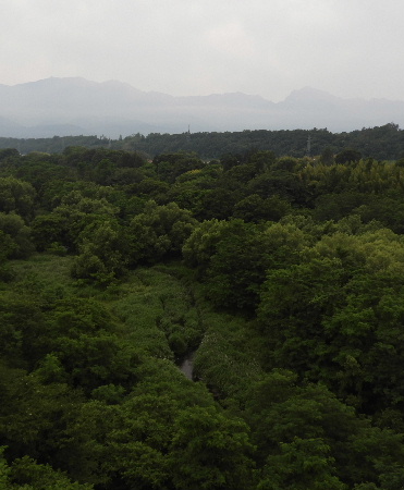 また雨で、八ヶ岳_e0172950_20561975.jpg