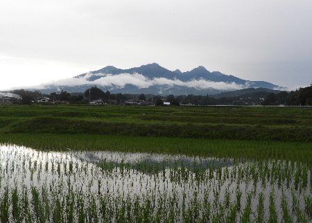 また雨で、八ヶ岳_e0172950_210424.jpg