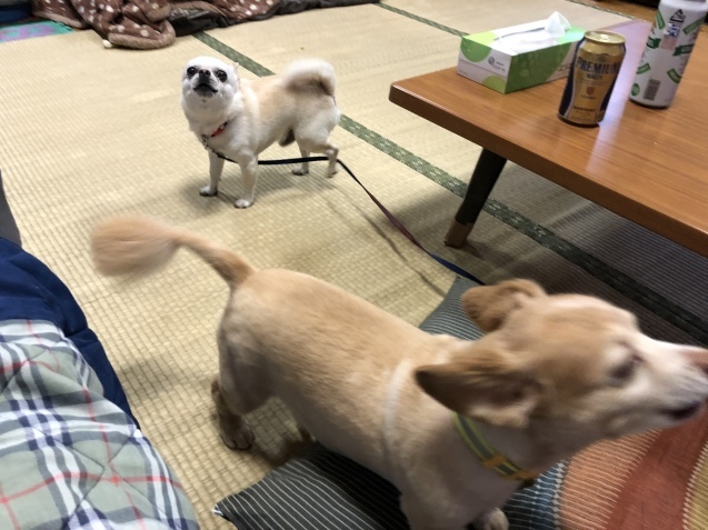 b0214652_22354044.jpeg