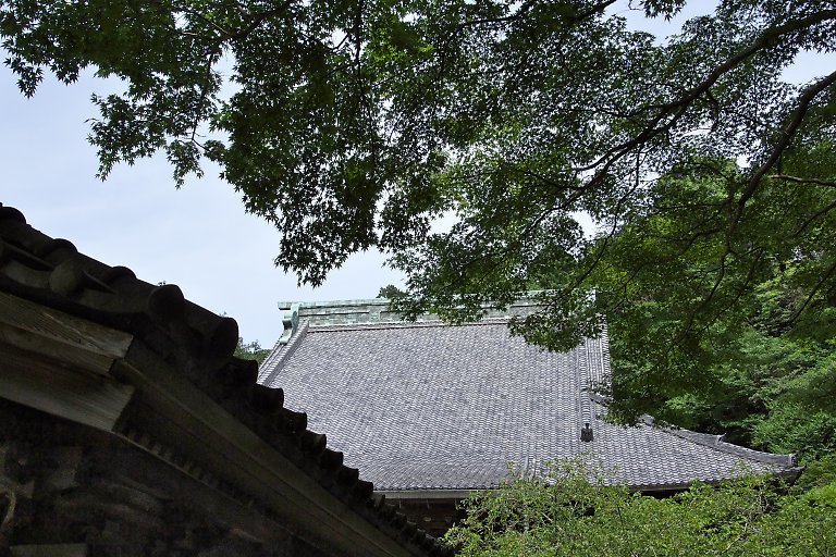 妙本寺（６月２６日）_c0057265_12254291.jpg