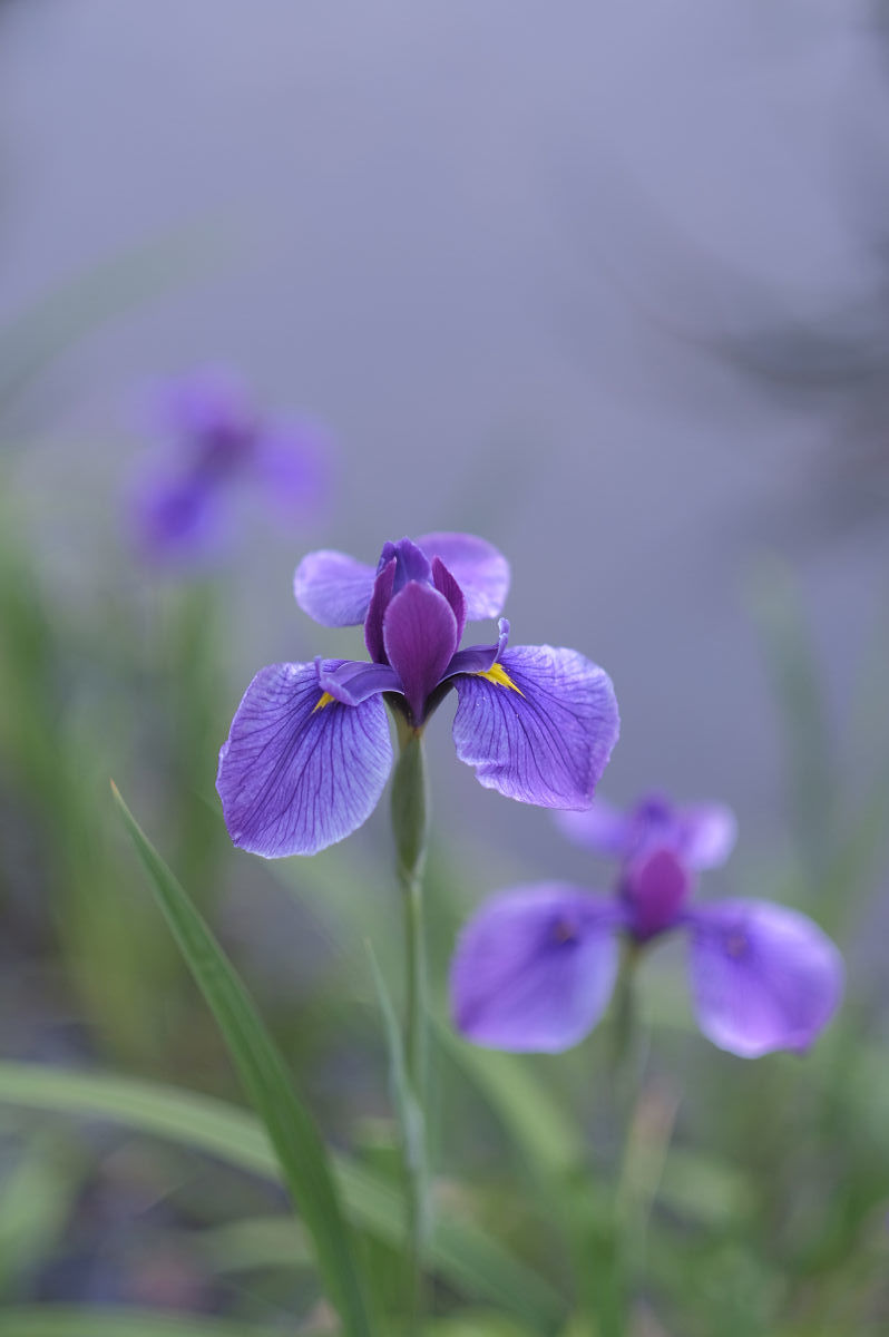  山田池公園_f0021869_22331279.jpg