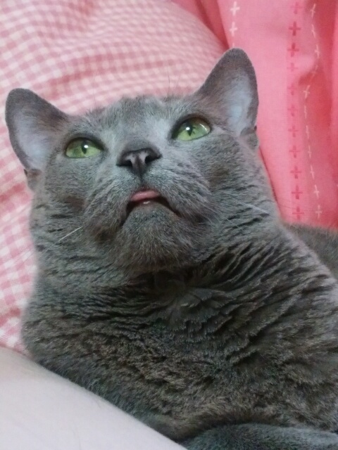 f0200871_8465363.jpg