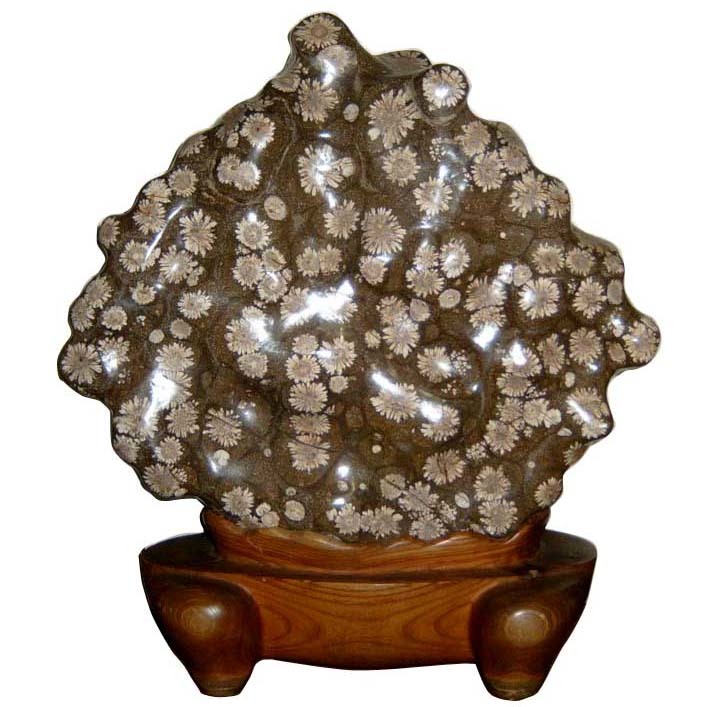 み*み様 牡丹石、菊化石、紅白梅花。 Yahoo!オークション - 【ボタン石】 17.6kg 牡丹石 梅花石 紋石