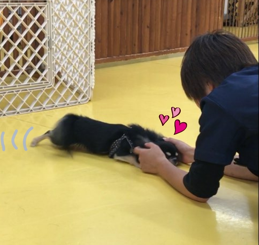 トレーニングブログ_f0357682_21342530.jpg