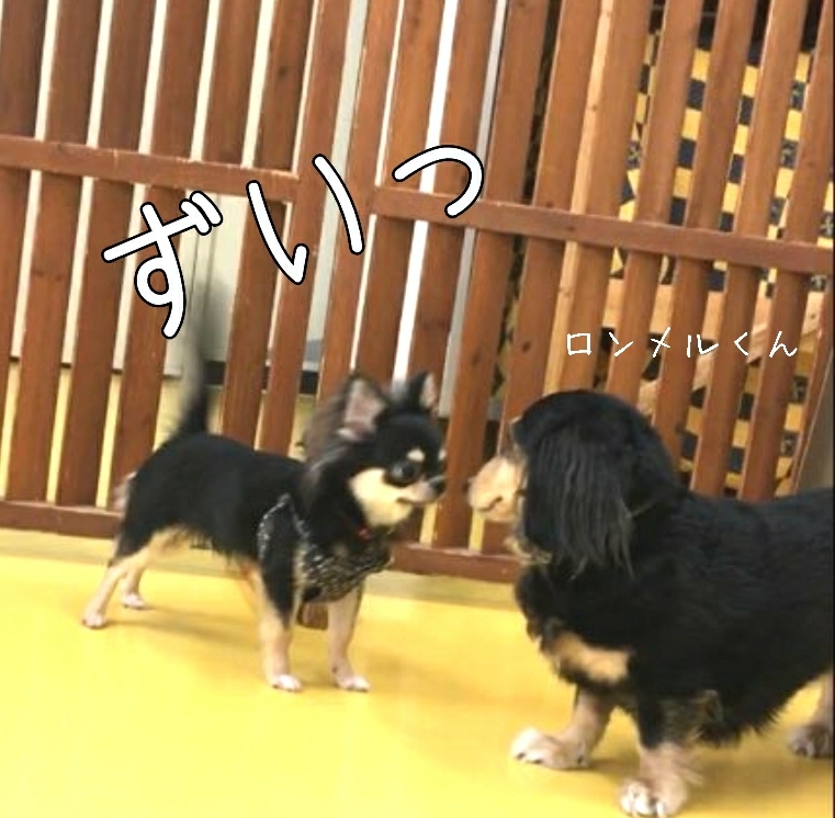 トレーニングブログ_f0357682_21435295.jpg