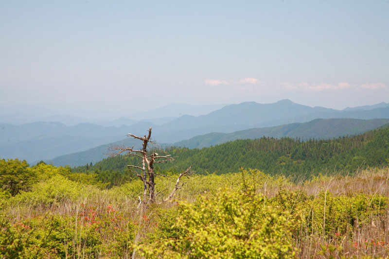 e0165983_15052065.jpg