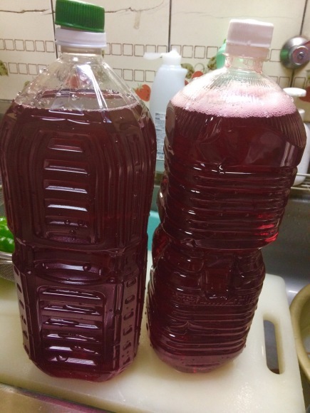 f0357487_22550118.jpeg