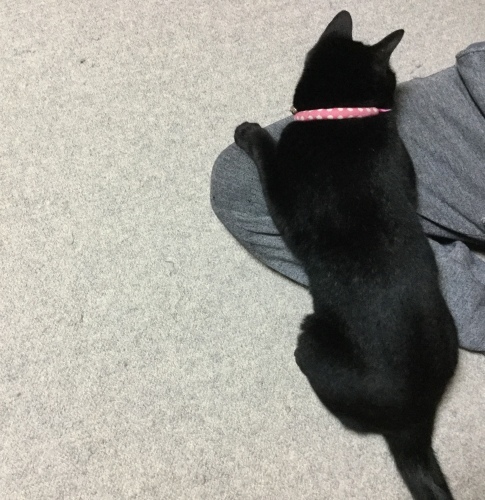 六月教室 2_e0358096_20065973.jpeg