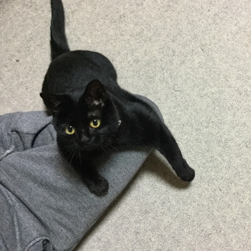 六月教室 2_e0358096_20071730.jpeg