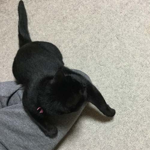 六月教室 2_e0358096_20073234.jpeg