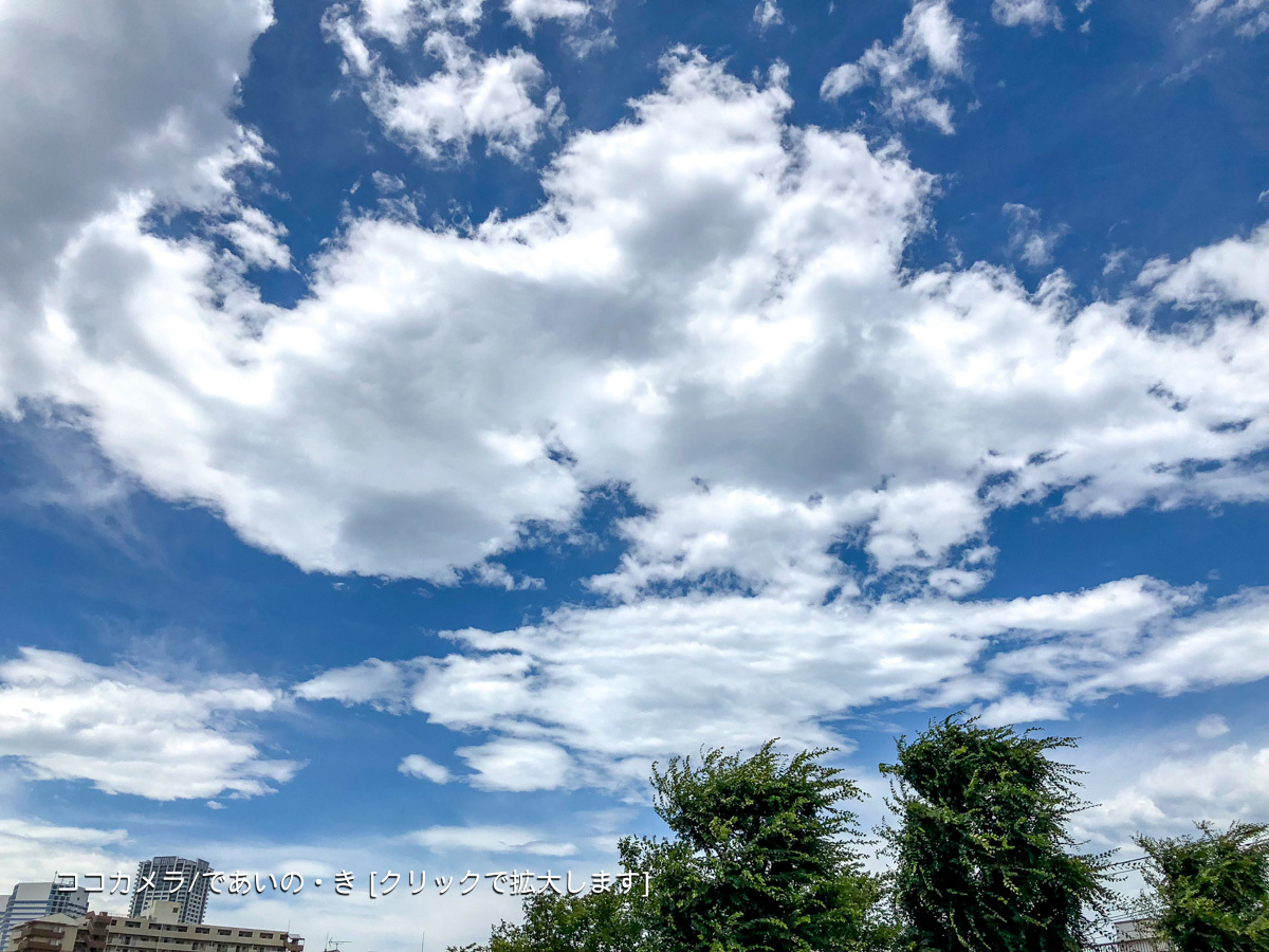 写真日記・梅雨明け宣言の日の新宿御苑-①花と景色編_c0336400_23081201.jpg