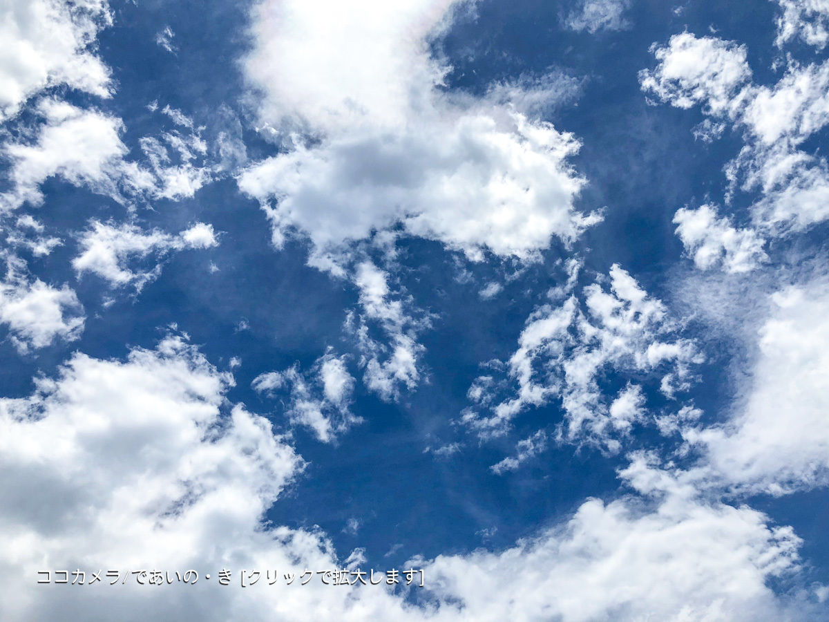 写真日記・梅雨明け宣言の日の新宿御苑-①花と景色編_c0336400_23081827.jpg