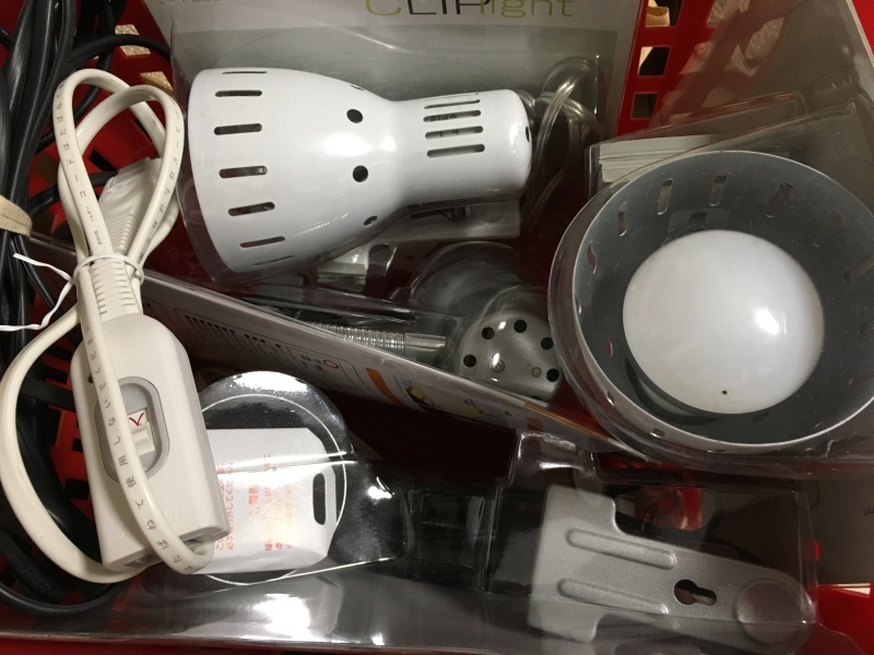 b0220002_22400338.jpeg