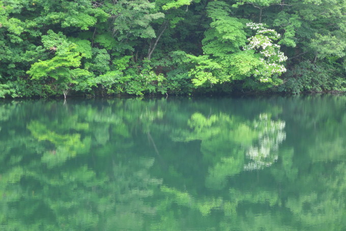 厳しく暑いゾ_a0214206_10544356.jpg