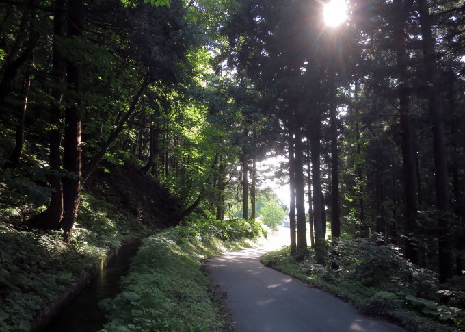 厳しく暑いゾ_a0214206_23041660.jpg