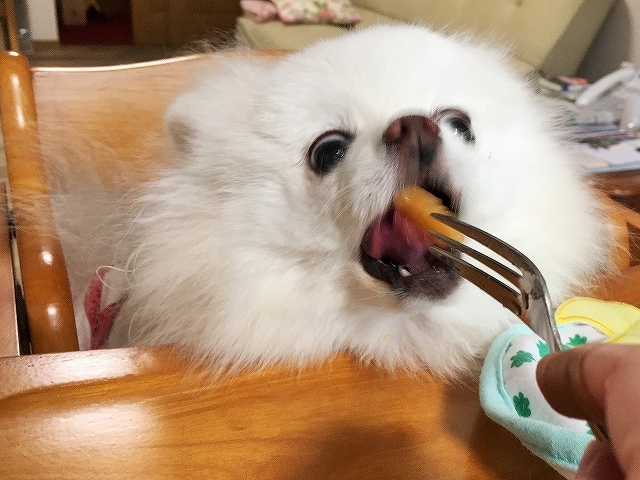 調子が出てきた_d0360206_00033093.jpg