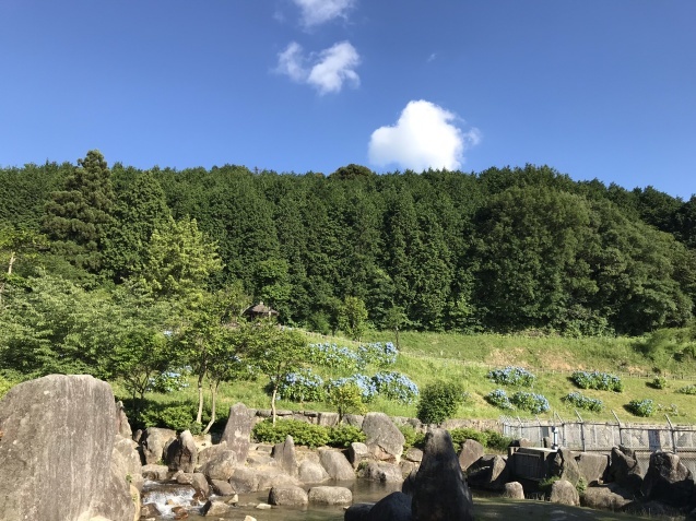 b0061107_15145797.jpeg