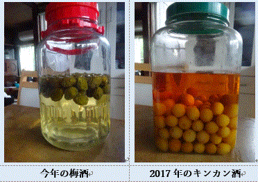 f0231709_13282834.gif