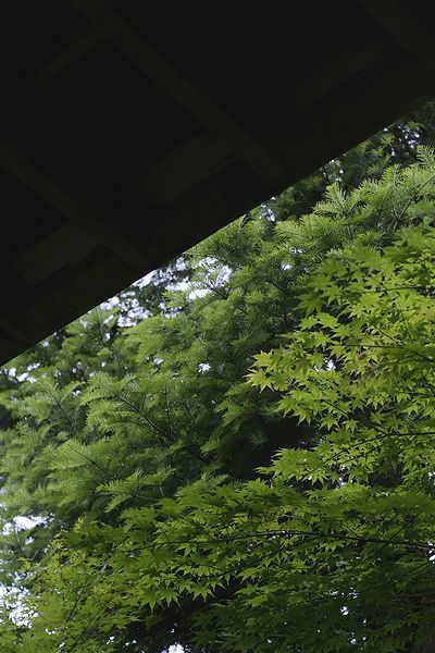 f0129510_11233936.jpg
