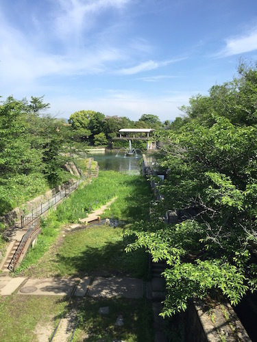 d0341811_21371566.jpg