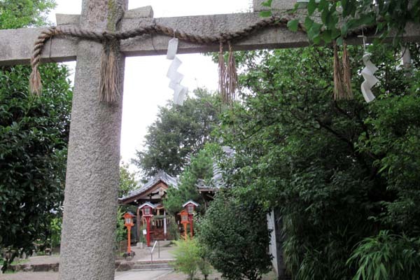 夏越の大祓い　茅の輪　総神社_e0048413_20363810.jpg