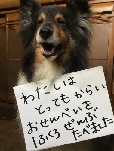 f0098313_13172837.jpeg