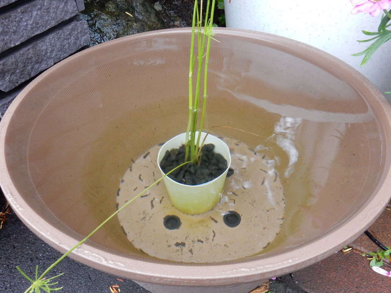 6月29日のtwitter_c0025115_22065100.jpg