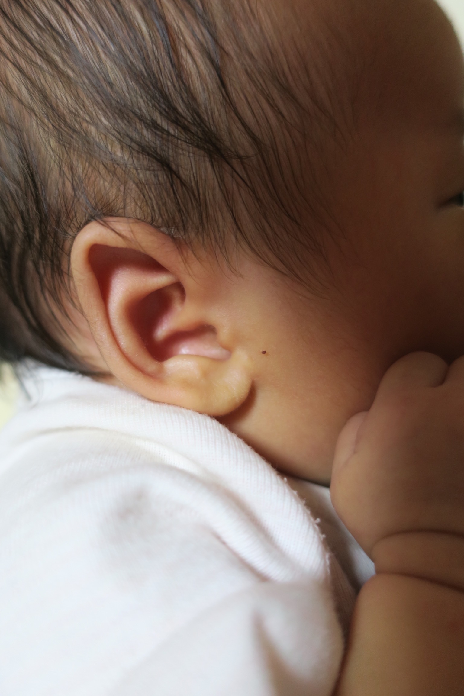 1ヶ月健診と副耳 金魚とネコとウサギと子育て