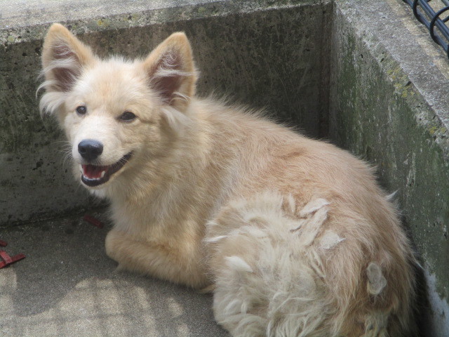 f0078320_00092681.jpg