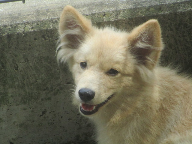 f0078320_00093523.jpg