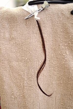 c0109726_12380741.jpg