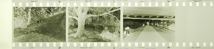 c0381632_20413021.jpg