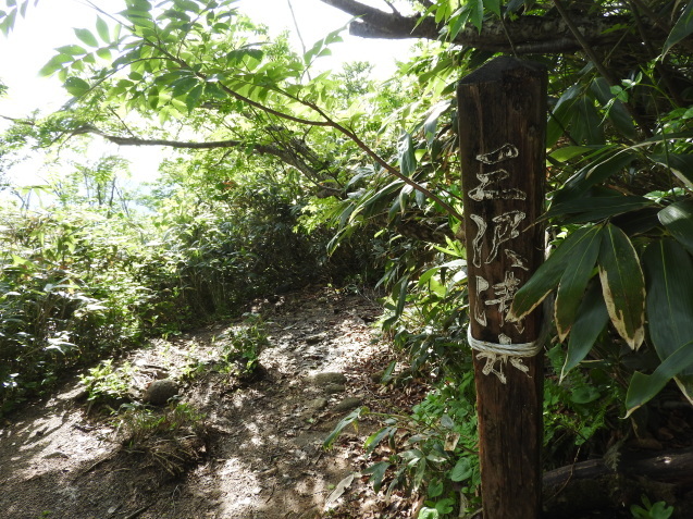 f0118332_23534166.jpg
