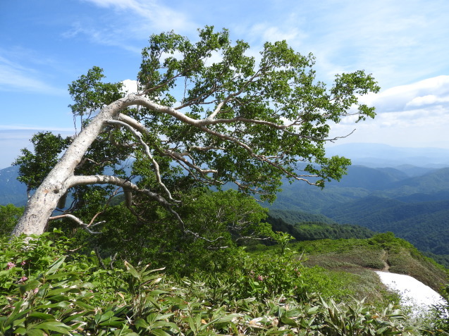 f0118332_23574697.jpg