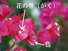 a0245136_17180387.png