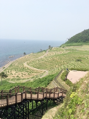 d0178136_16543127.jpeg