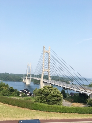 d0178136_16551375.jpeg