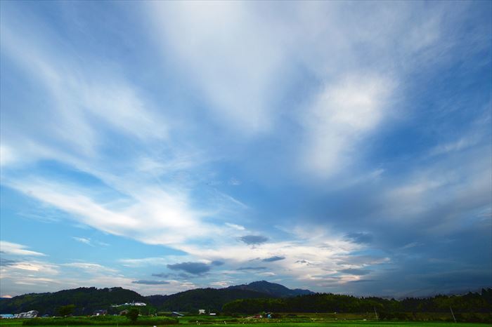 梅雨の晴れ間に_e0008237_09375089.jpg