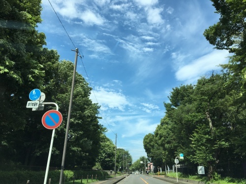 b0330040_21483362.jpeg