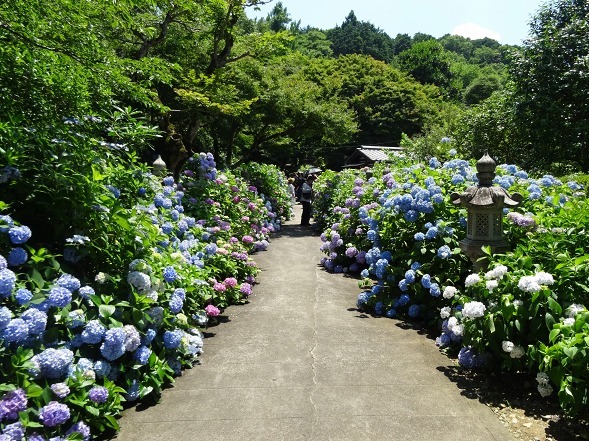 b0299042_14591173.jpg